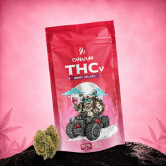 THCv Flowers Berry Gelato 50%