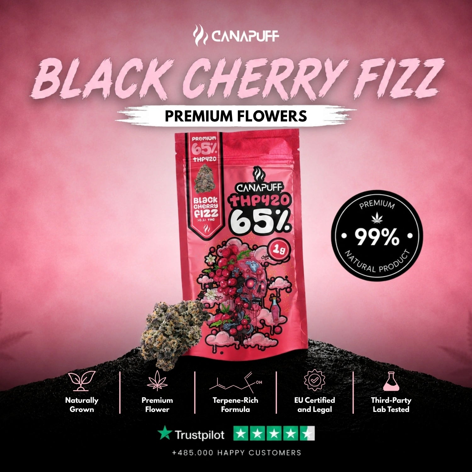 THP420 Fleurs Cerise noire pétillante 65%