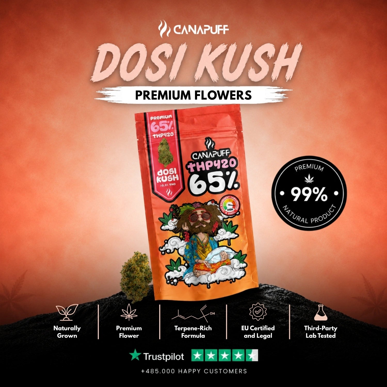 THP420 Fleurs Dosi Kush 65 %