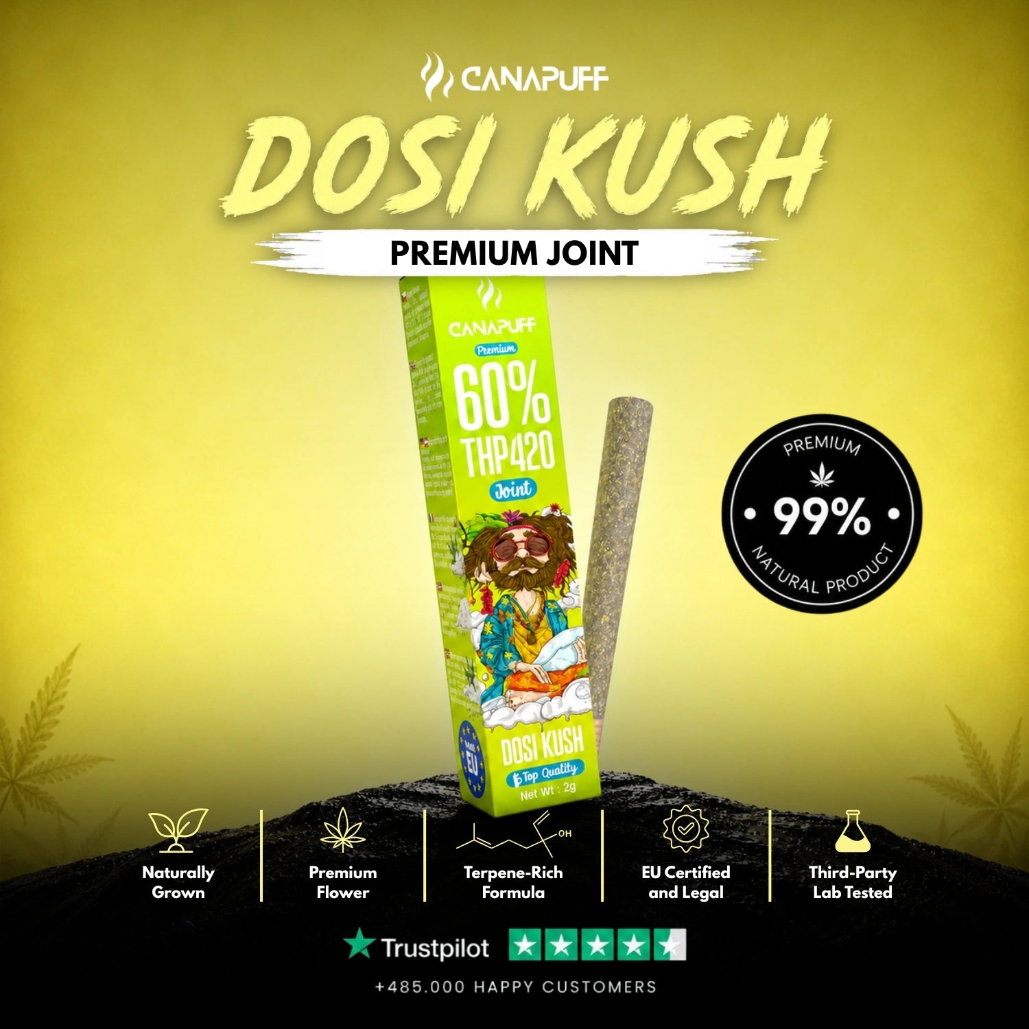 THP420 Joint Dosi Kush 60 % 2 g