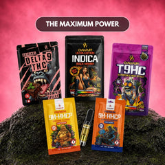 The Maximum Power