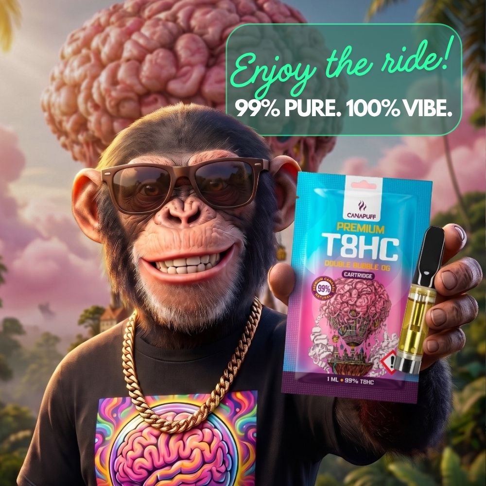 Vape, fiori, edibili.<br>Il tuo <em>VIBE</em> è qui da qualche parte.<br>