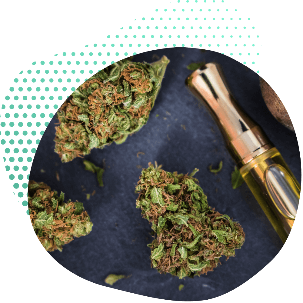 Bienfaits des Fleurs H4CBD