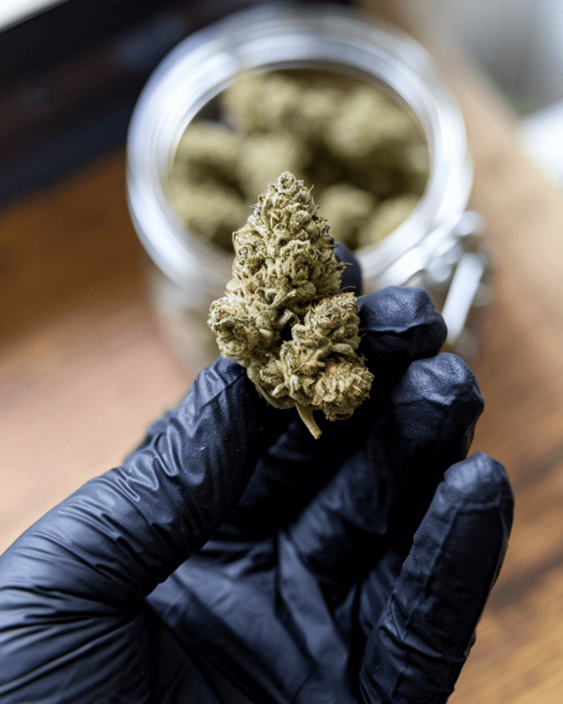 Er Cannabis lovligt i Tyskland?