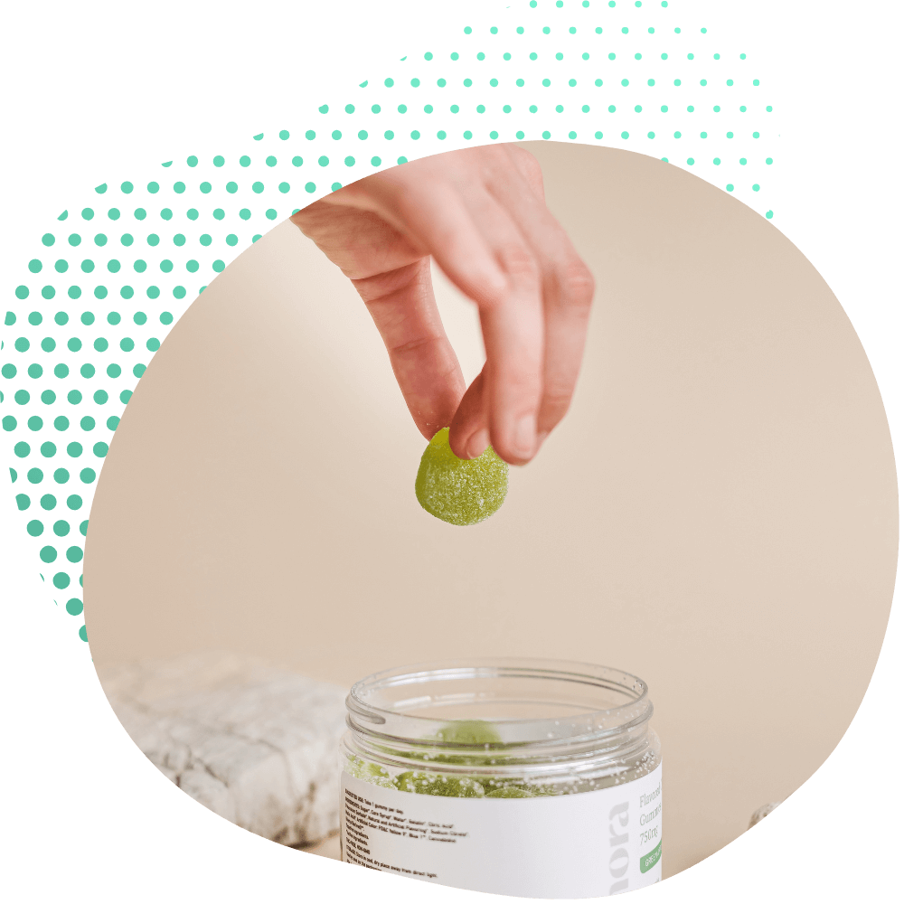 Gummies THC CBD 10-OH-HHCP Premium Buds Canapuff